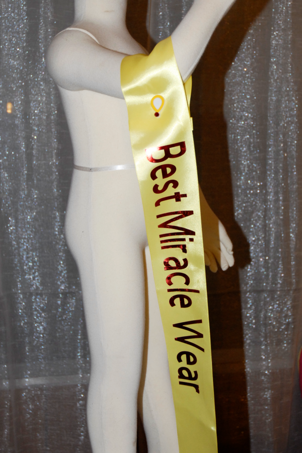 Custom Pageant Sashes Banners By The Regal Needle
